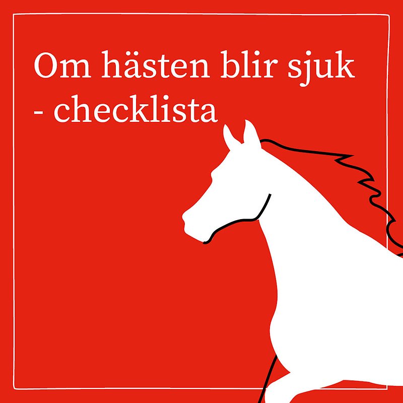 Annonsbild Distriktsveterinärerna "om hästen blir sjuk - checklista".
